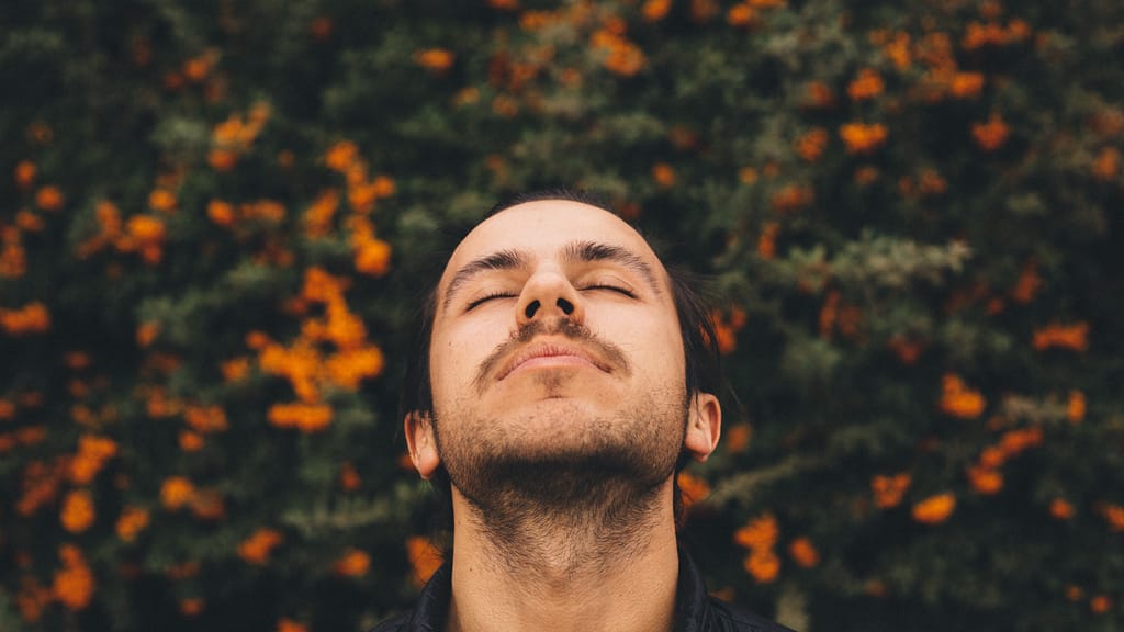 be-true-to-yourself